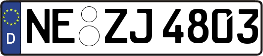 NE-ZJ4803