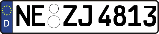 NE-ZJ4813