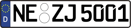 NE-ZJ5001