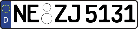NE-ZJ5131