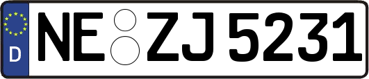 NE-ZJ5231