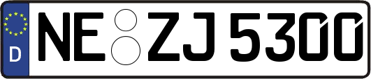 NE-ZJ5300