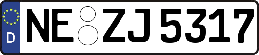 NE-ZJ5317