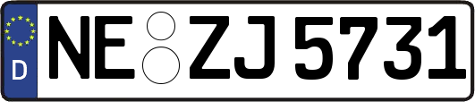 NE-ZJ5731