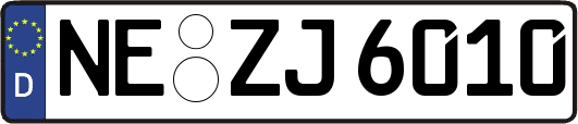 NE-ZJ6010