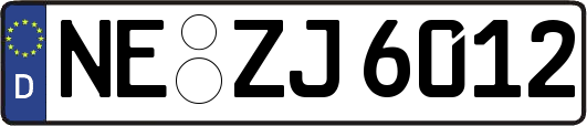 NE-ZJ6012