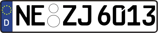 NE-ZJ6013