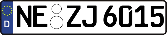 NE-ZJ6015