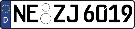 NE-ZJ6019