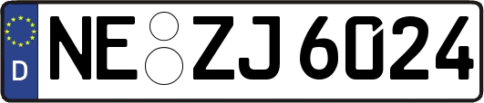 NE-ZJ6024