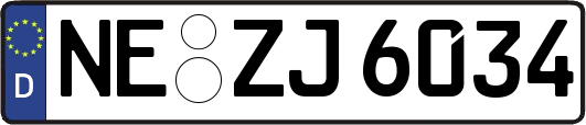 NE-ZJ6034