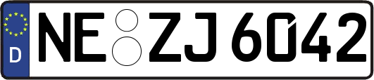 NE-ZJ6042