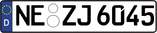 NE-ZJ6045