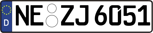 NE-ZJ6051