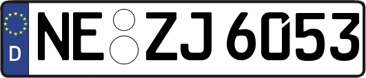 NE-ZJ6053