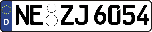 NE-ZJ6054