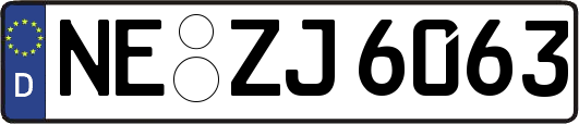 NE-ZJ6063
