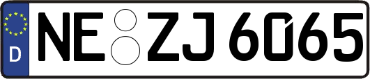 NE-ZJ6065