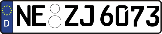 NE-ZJ6073