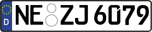 NE-ZJ6079