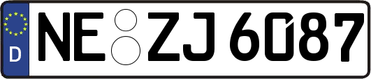 NE-ZJ6087