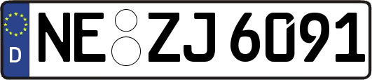 NE-ZJ6091