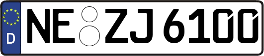 NE-ZJ6100