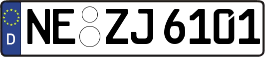 NE-ZJ6101