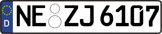 NE-ZJ6107