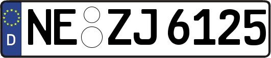 NE-ZJ6125