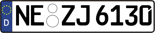 NE-ZJ6130