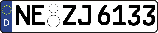 NE-ZJ6133