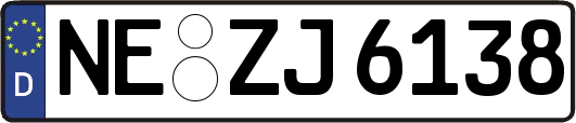 NE-ZJ6138
