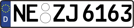 NE-ZJ6163