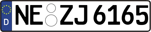 NE-ZJ6165