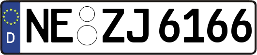 NE-ZJ6166