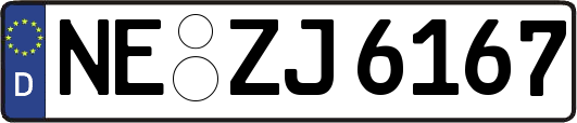 NE-ZJ6167