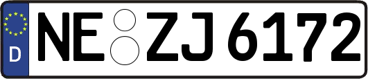 NE-ZJ6172