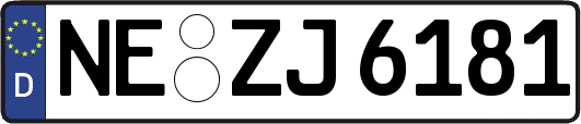 NE-ZJ6181
