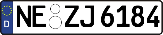 NE-ZJ6184