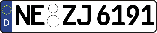 NE-ZJ6191