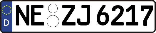 NE-ZJ6217