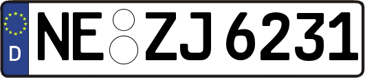 NE-ZJ6231