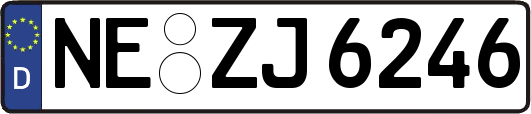 NE-ZJ6246
