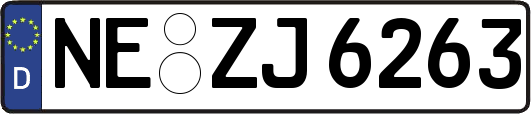 NE-ZJ6263
