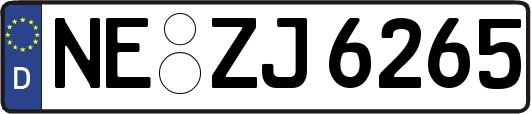 NE-ZJ6265