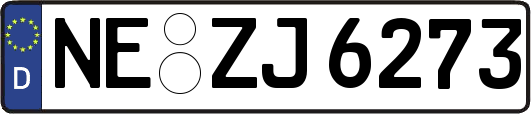 NE-ZJ6273