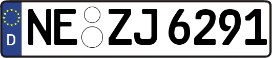 NE-ZJ6291