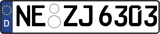 NE-ZJ6303
