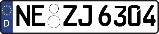 NE-ZJ6304